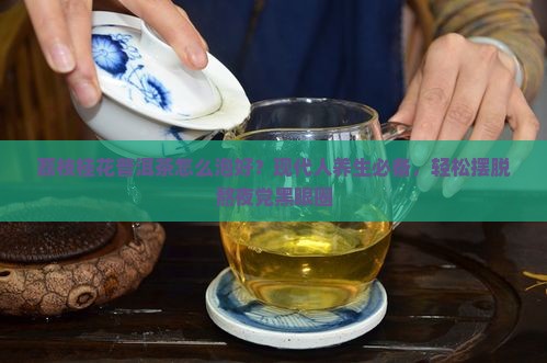 荔枝桂花普洱茶怎么泡好？现代人养生必备，轻松摆脱熬夜党黑眼圈