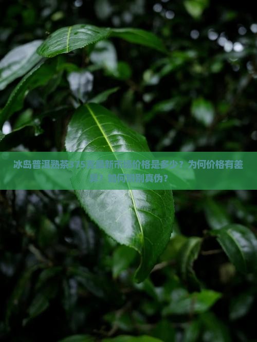 冰岛普洱熟茶375克最新市场价格是多少？为何价格有差异？如何辨别真伪？