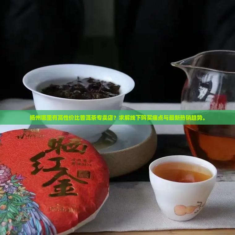 扬州哪里有高性价比普洱茶专卖店？求解线下购买痛点与最新热销趋势。
