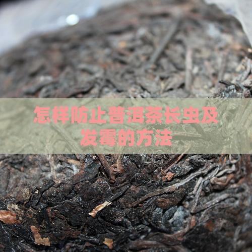 怎样防止普洱茶长虫及发霉的方法
