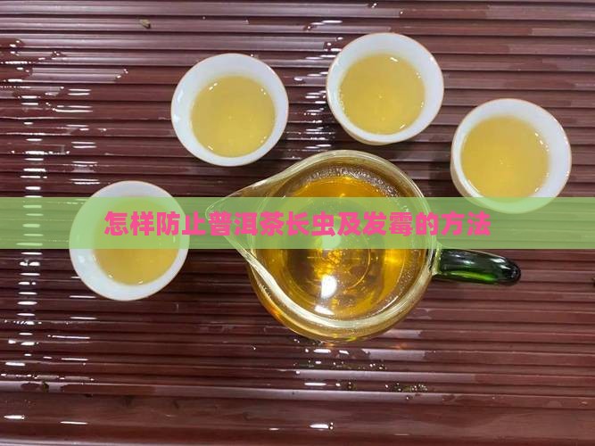 怎样防止普洱茶长虫及发霉的方法