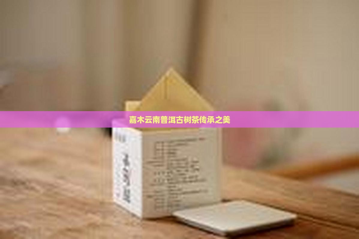 嘉木云南普洱古树茶传承之美