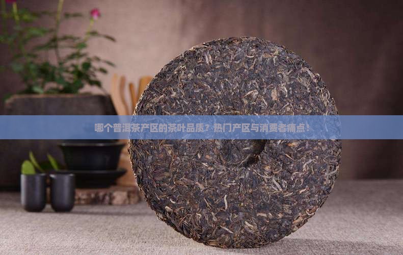 哪个普洱茶产区的茶叶品质？热门产区与消费者痛点！