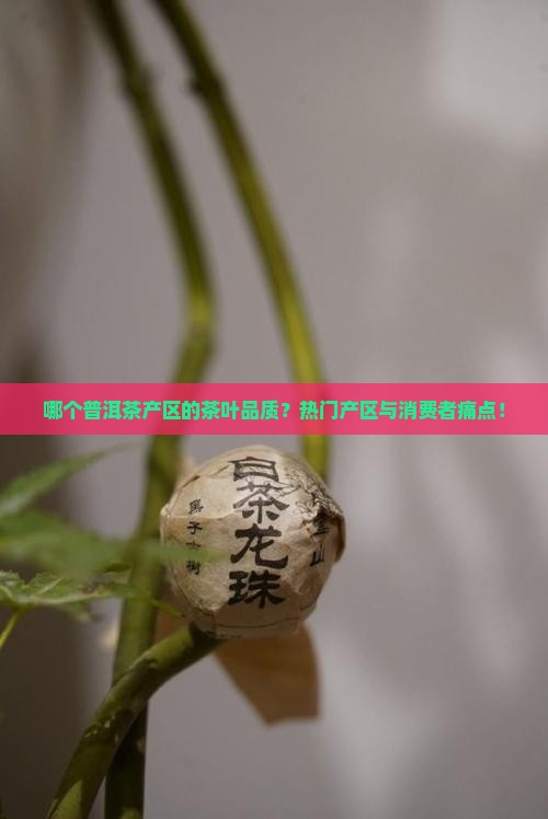 哪个普洱茶产区的茶叶品质？热门产区与消费者痛点！