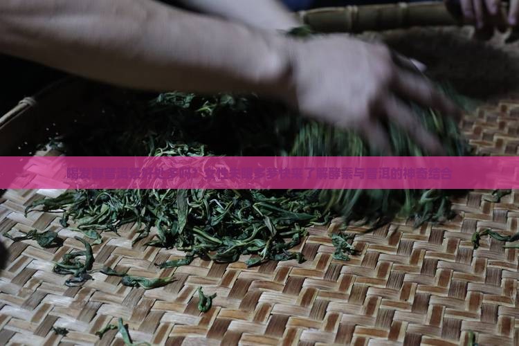 喝发酵普洱茶好处多吗？女性失眠多梦快来了解酵素与普洱的神奇结合