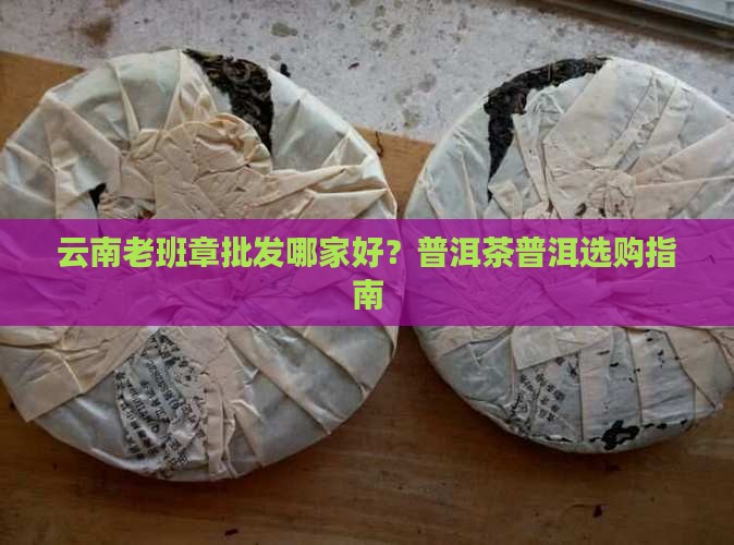 云南老班章批发哪家好？普洱茶普洱选购指南