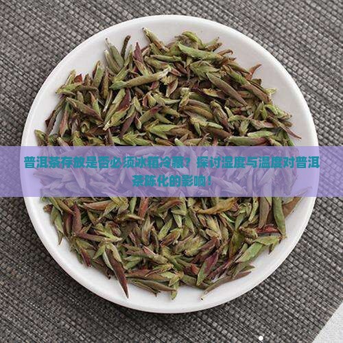 普洱茶存放是否必须冰箱冷藏？探讨湿度与温度对普洱茶陈化的影响！