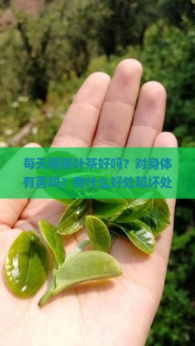 每天喝茶叶茶好吗？对身体有害吗？有什么好处和坏处