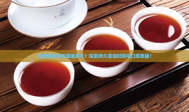 生普洱茶究竟能泡多久？探索持久浸泡时间与口感奥秘！