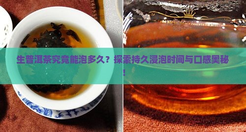 生普洱茶究竟能泡多久？探索持久浸泡时间与口感奥秘！