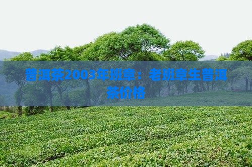 普洱茶2003年班章：老班章生普洱茶价格
