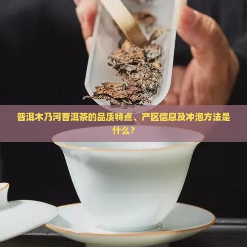 普洱木乃河普洱茶的品质特点、产区信息及冲泡方法是什么？