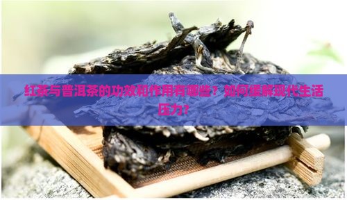 红茶与普洱茶的功效和作用有哪些？如何缓解现代生活压力？