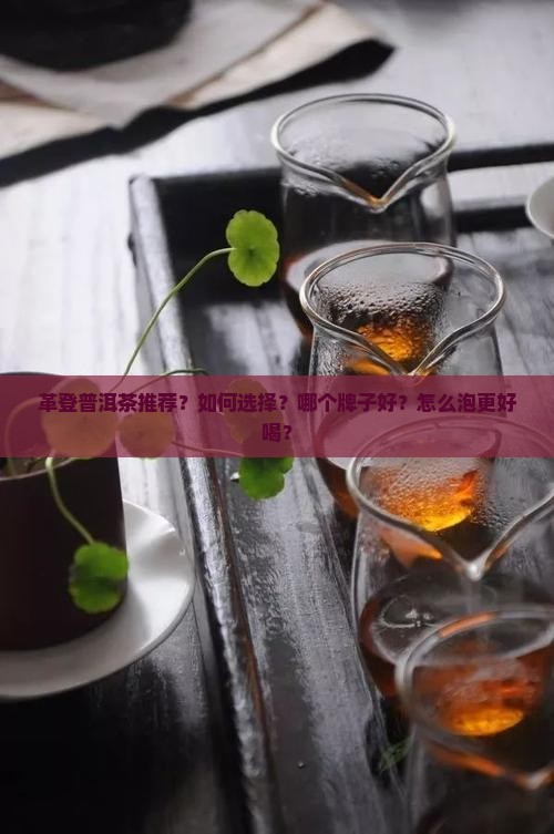 革登普洱茶推荐？如何选择？哪个牌子好？怎么泡更好喝？