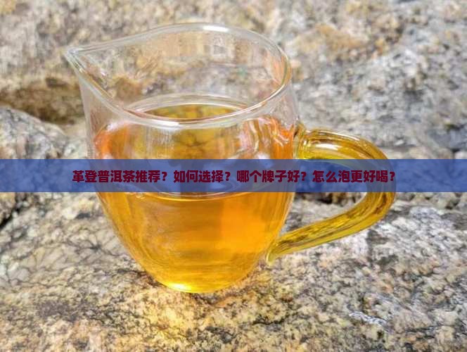 革登普洱茶推荐？如何选择？哪个牌子好？怎么泡更好喝？