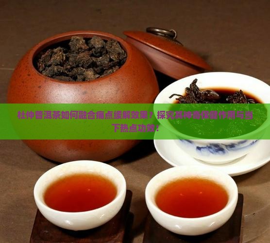 杜仲普洱茶如何融合痛点缓解效果？探究其神奇保健作用与当下热点功效！
