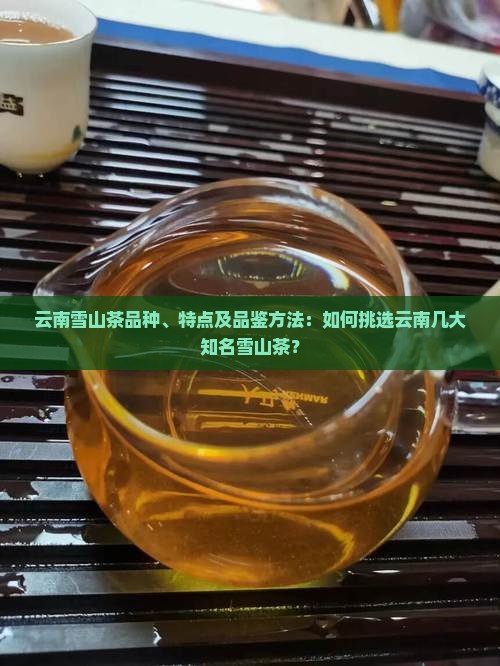 云南雪山茶品种、特点及品鉴方法：如何挑选云南几大知名雪山茶？
