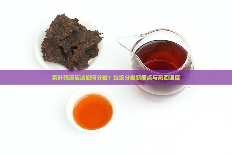 茶叶残渣应该如何分类？垃圾分类新痛点与热词误区