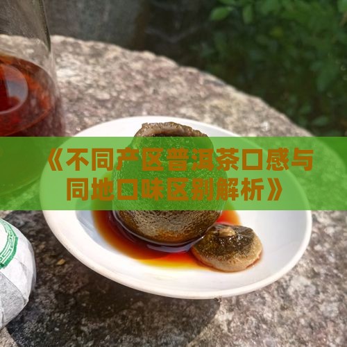 《不同产区普洱茶口感与同地口味区别解析》