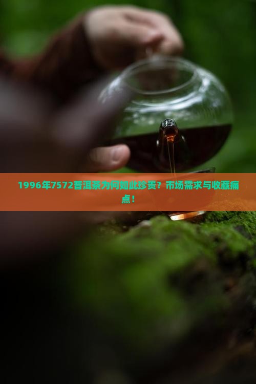 1996年7572普洱茶为何如此珍贵？市场需求与收藏痛点！