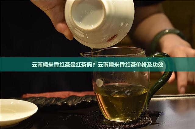 云南糯米香红茶是红茶吗？云南糯米香红茶价格及功效