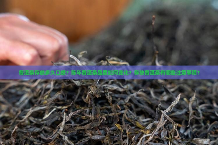 普洱茶存放多久口感？陈年普洱茶品质如何变化？存放普洱茶有哪些注意事项？
