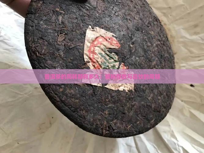 普洱茶的周转期有多久：解析存放与品饮的周期