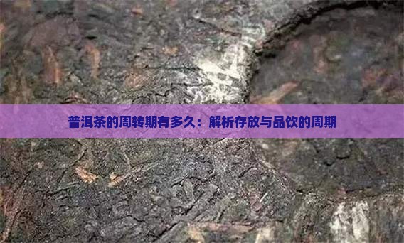 普洱茶的周转期有多久：解析存放与品饮的周期
