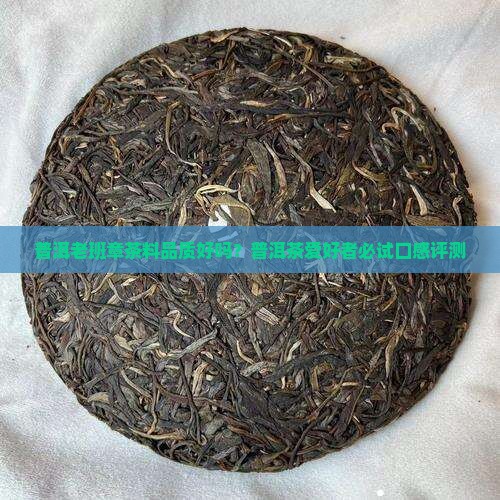 普洱老班章茶料品质好吗？普洱茶爱好者必试口感评测