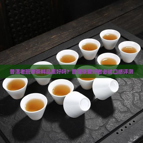 普洱老班章茶料品质好吗？普洱茶爱好者必试口感评测