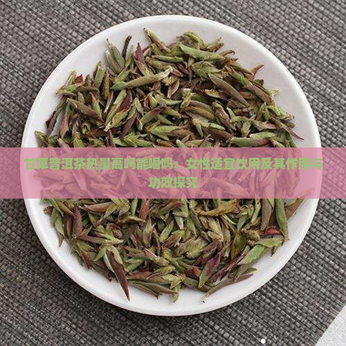 甘草普洱茶热量高吗能喝吗：女性适宜饮用及其作用与功效探究