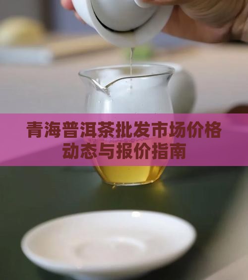 青海普洱茶批发市场价格动态与报价指南