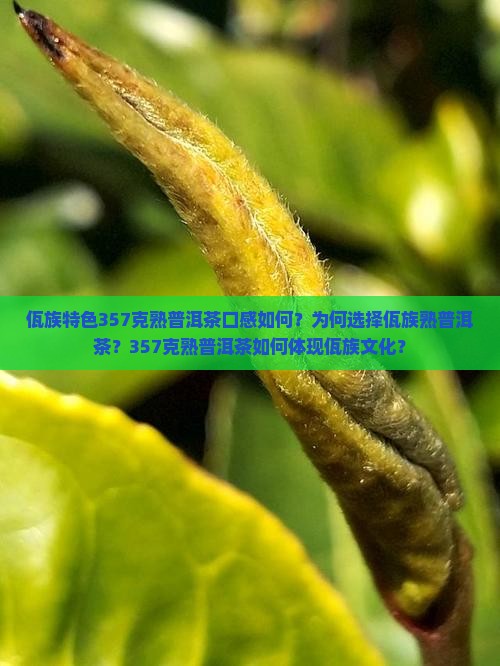 佤族特色357克熟普洱茶口感如何？为何选择佤族熟普洱茶？357克熟普洱茶如何体现佤族文化？