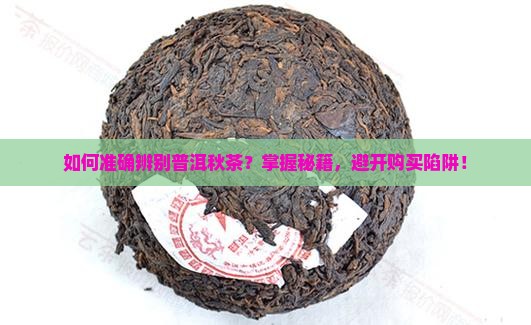 如何准确辨别普洱秋茶？掌握秘籍，避开购买陷阱！