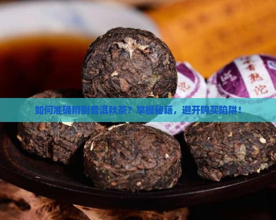 如何准确辨别普洱秋茶？掌握秘籍，避开购买陷阱！