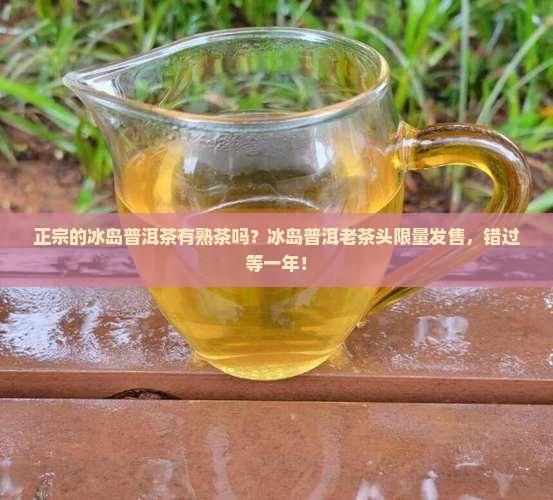 正宗的冰岛普洱茶有熟茶吗？冰岛普洱老茶头限量发售，错过等一年！