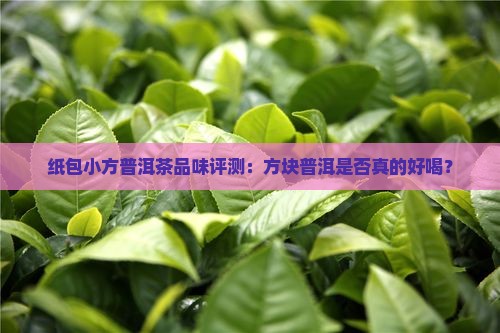 纸包小方普洱茶品味评测：方块普洱是否真的好喝？