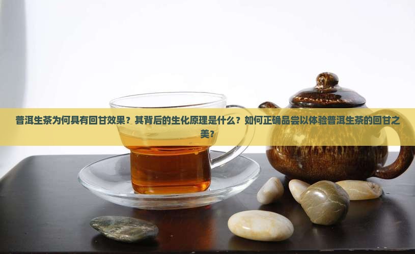 普洱生茶为何具有回甘效果？其背后的生化原理是什么？如何正确品尝以体验普洱生茶的回甘之美？