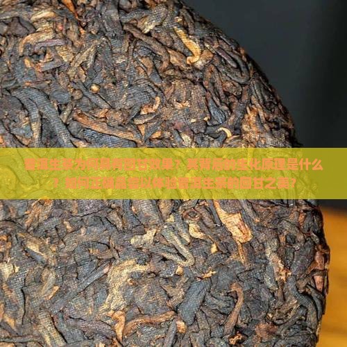 普洱生茶为何具有回甘效果？其背后的生化原理是什么？如何正确品尝以体验普洱生茶的回甘之美？