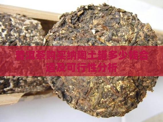 普洱茶购买纳陶土罐多少钱合适及可行性分析