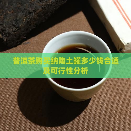 普洱茶购买纳陶土罐多少钱合适及可行性分析