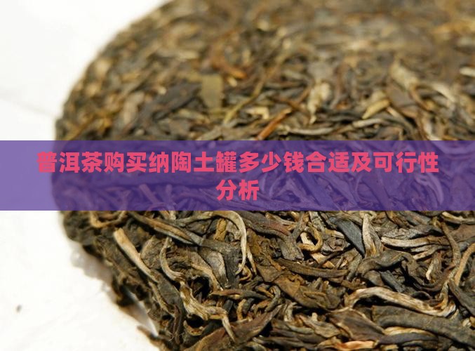 普洱茶购买纳陶土罐多少钱合适及可行性分析