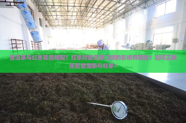 普洱茶与红枣是否相配？红枣对普洱茶口感的影响有哪些？如何正确搭配普洱茶与红枣？