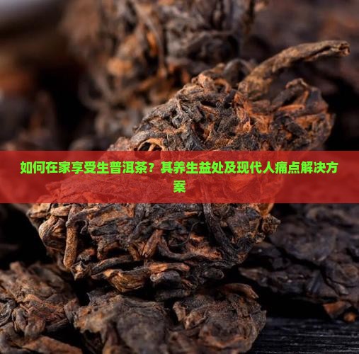 如何在家享受生普洱茶？其养生益处及现代人痛点解决方案
