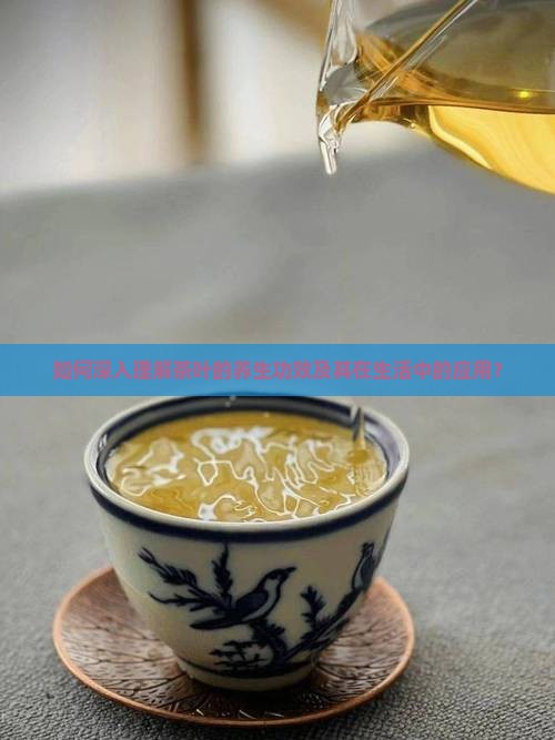 如何深入理解茶叶的养生功效及其在生活中的应用？