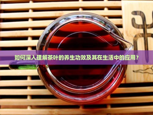 如何深入理解茶叶的养生功效及其在生活中的应用？