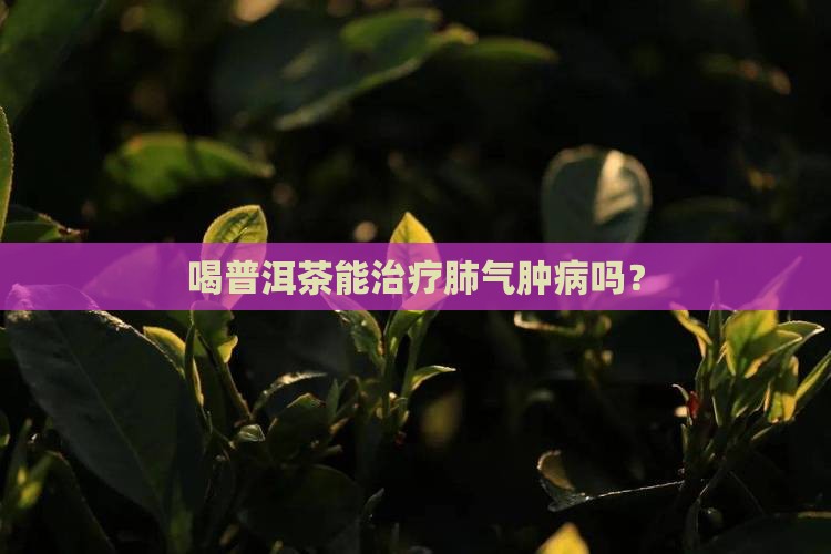 喝普洱茶能治疗肺气肿病吗？