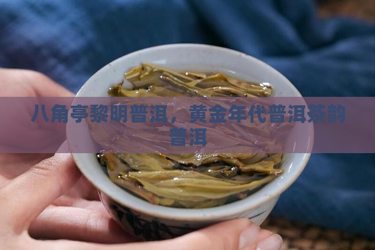 八角亭黎明普洱，黄金年代普洱茶韵普洱