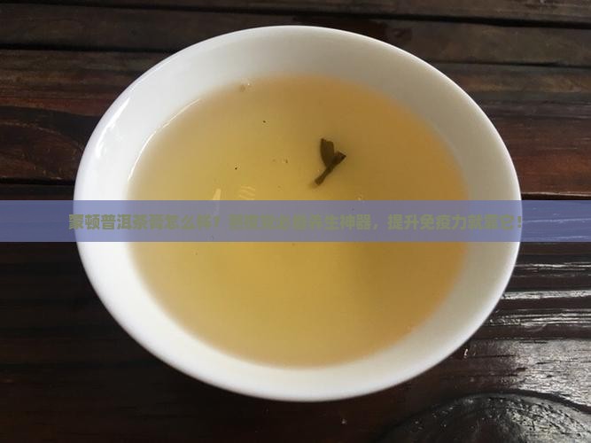 蒙顿普洱茶膏怎么样？熬夜党必备养生神器，提升免疫力就靠它！