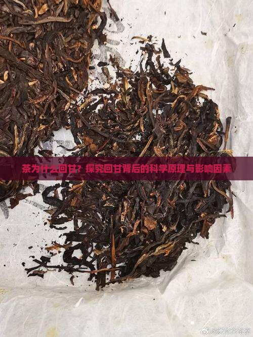 茶为什么回甘？探究回甘背后的科学原理与影响因素